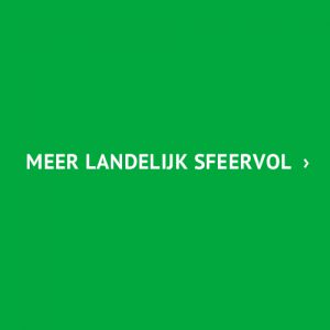 landelijk sfeervolle tegels