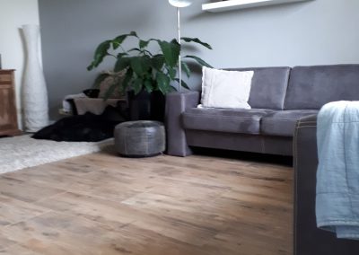 Landelijke woning met keramisch hout in de woonkamer en toilet