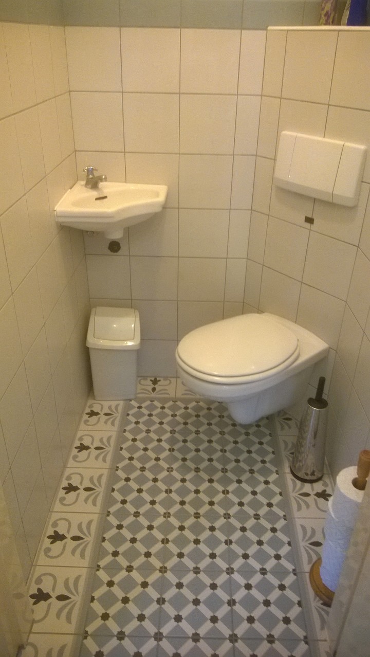 Hal en toilet met een patroontegel met rand